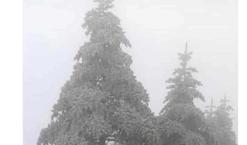 四川峨眉山迎入秋来第一场雪 今年首场雪比去年早一个月