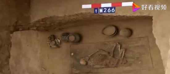 黄河边发现古墓群 具体是什么情况发现了什么文物