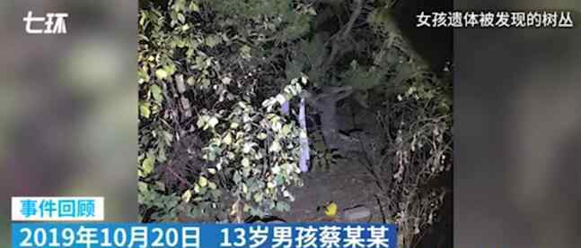 大连13岁杀人男孩父母被拘留 回顾案情经过