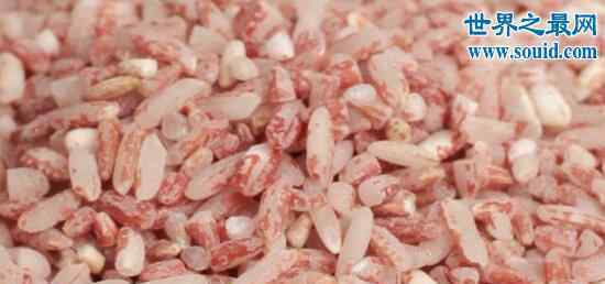 中国最贵的大米多少钱一斤 世界上最贵的米，8000元一公斤吃不起