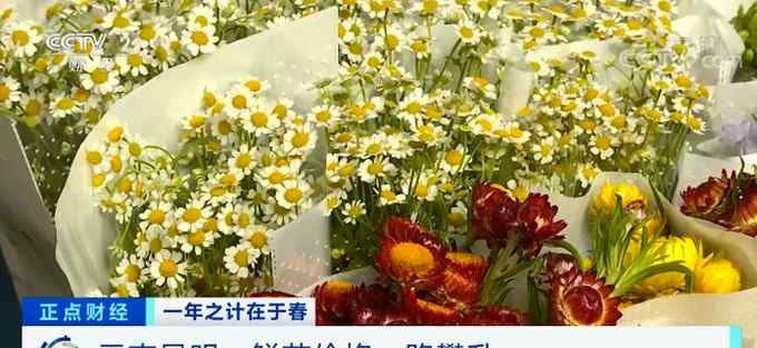 鲜花涨价近4倍！花卉市场销售商：最贵还是玫瑰