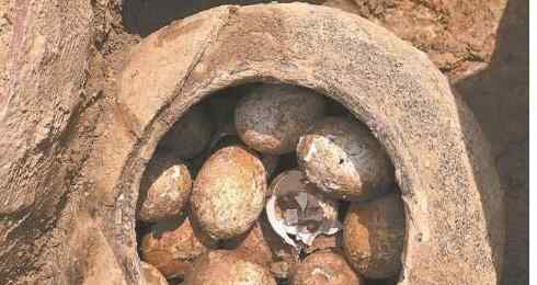古墓出土500年前的鸡蛋 什么鸡蛋能够保存这么久