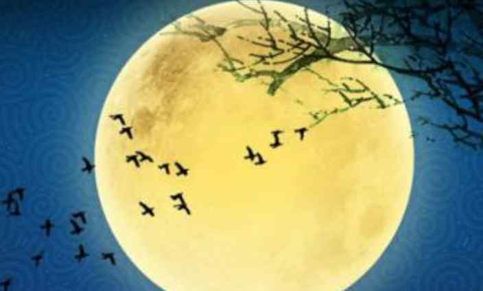 今年中秋月十五的月亮十六圆 史志成说了什么内容