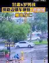 甘肃警方通报8岁男孩路边死亡 具体通报内容是什么