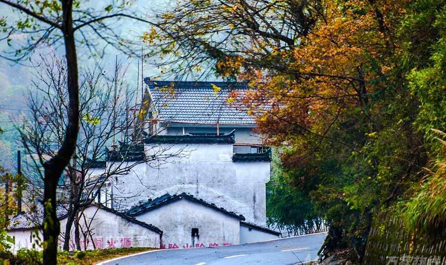 安徽自驾游 速看！安徽10条自驾游线路新鲜出炉 看完赶紧安排上