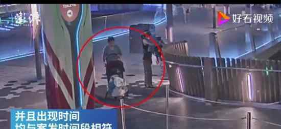 老妇在上海迪士尼专偷童车内物品 为什么要这样做