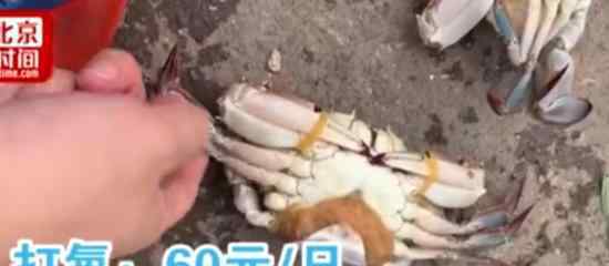暗访海鲜市场死蟹变活蟹 具体情况是什么