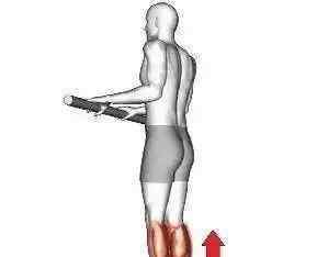 踮脚尖的好处 「踮脚尖」好处太多了！强化肌力、预防骨松，还能排湿气