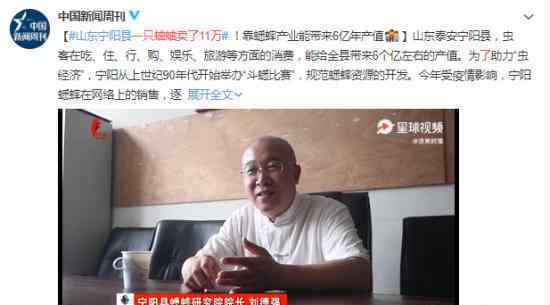 一只蛐蛐卖了11万 为什么会卖那么贵