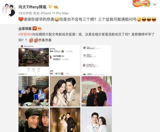 向太发文疑否认郭碧婷怀孕 具体说了什么