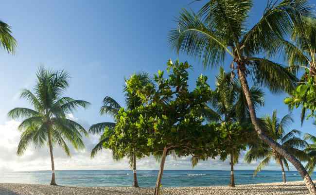 马提尼岛 加勒比海人口最多的十个岛屿 古巴排名第一