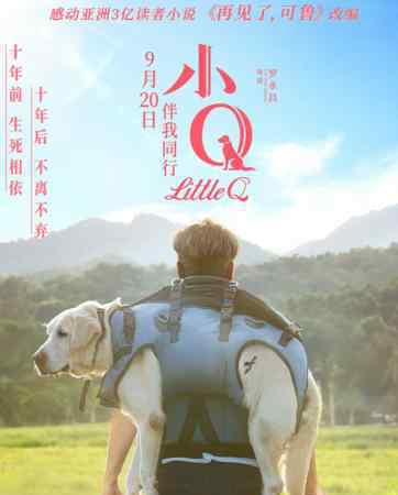 小Q票房破亿 堪比忠犬八公你看了吗