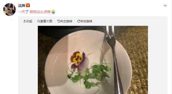 沈腾 一天就吃这么点菜  什么情况沈腾自己发图