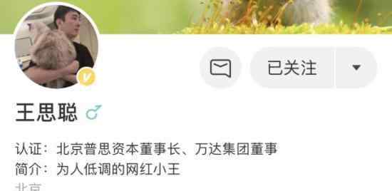 普思股权遭冻结 王思聪的旗下资本怎么了?