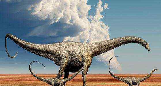 食肉恐龙前30排名 全球十大恐龙之最大盘点 最大的食肉恐龙竟是棘龙
