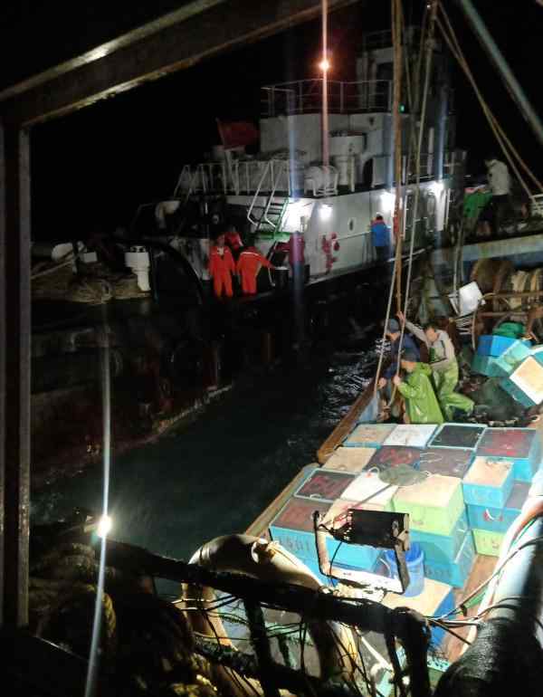 福建湄洲湾口水域一游艇沉没 4名落水遇险船员全部获救 究竟是怎么一回事?
