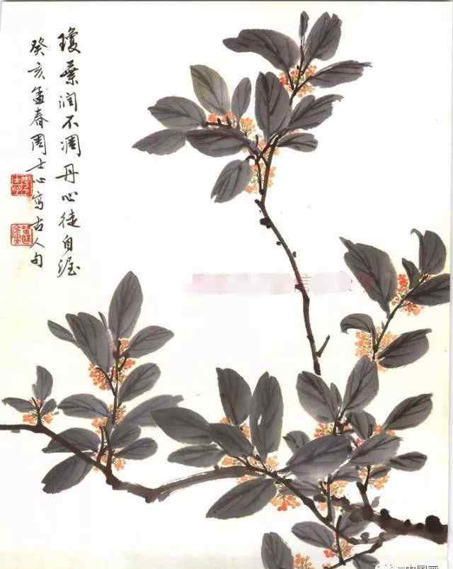 桂花怎么画怎样画桂花国画桂花的画法步骤