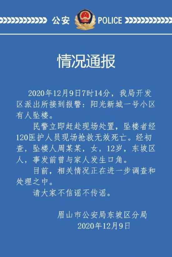 眉山警方通报12岁女孩坠亡 具体通报内容