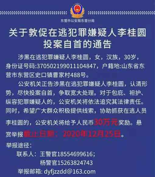 山东警方悬赏30万抓捕涉黑女头目 长什么样