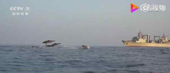海豚群伴航人民海军护航军舰 什么场面