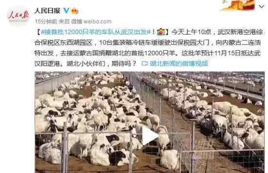 接首批1.2万只羊车队从武汉出发 具体是怎么回事