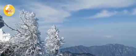 秦岭太白山雪后雾凇美景 简直美不胜收