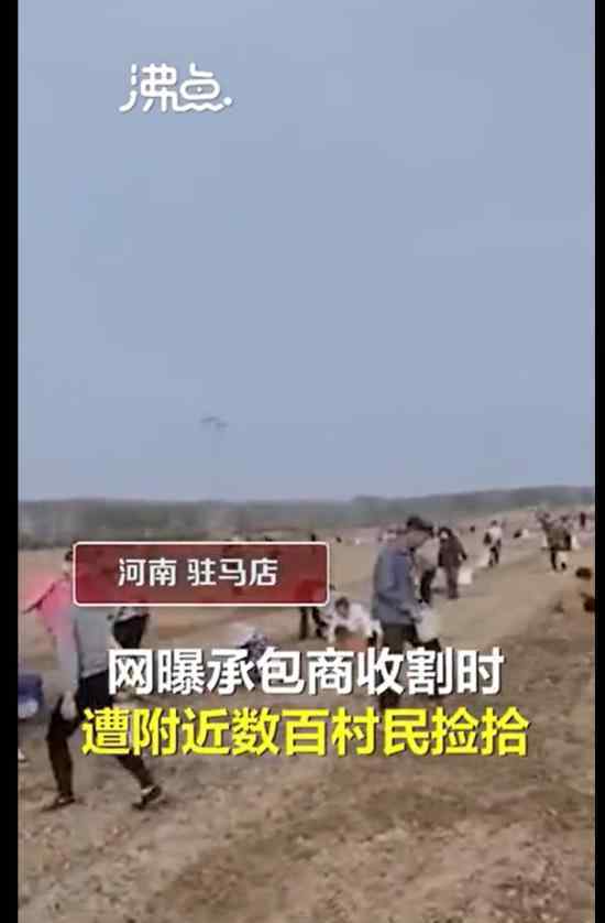 承包商收割花生村民尾随捡拾 什么场面