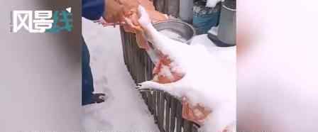 最冷小镇居民把鸡肉放雪里保鲜 具体什么情况