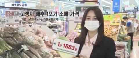 韩国大白菜涨价至62元一颗 为什么会这么贵