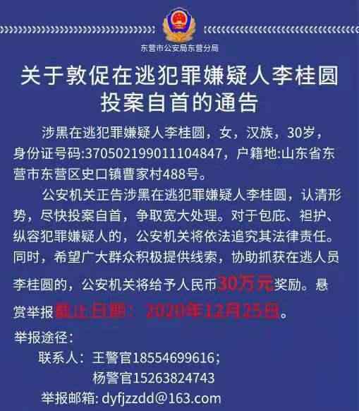 警方悬赏30万抓捕90后涉黑女头目 具体是什么情况