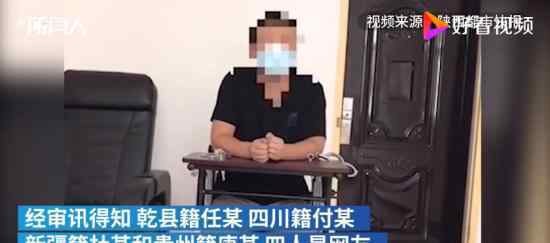 合谋盗古墓挖一米就放弃:太苦了 具体怎么回事