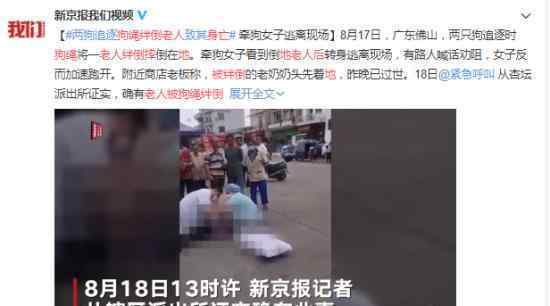 老人被狗绳绊倒摔地后身亡 飞来横祸狗主人当众逃跑