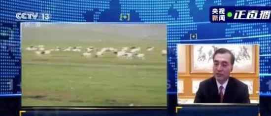 蒙古国3万只羊到中国变羊肉 一只羊的使命
