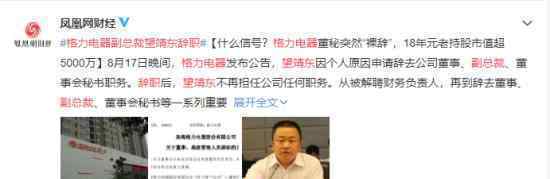 格力电器副总裁望靖东辞职 原因是什么释放了什么信号