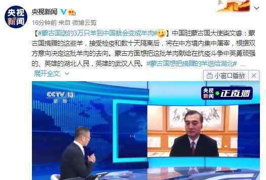 蒙古国送的3万只羊会变成羊肉 孜然羊肉做法来了