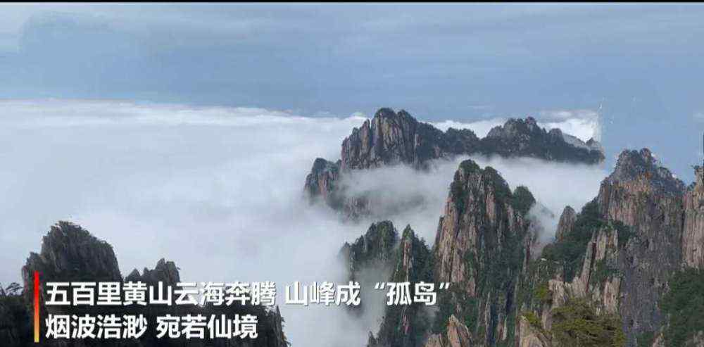 黄山雨后云海圈粉2万游客 登上网络热搜了！