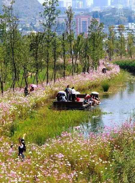 wetland 湿地景观设计要点，值得收藏！