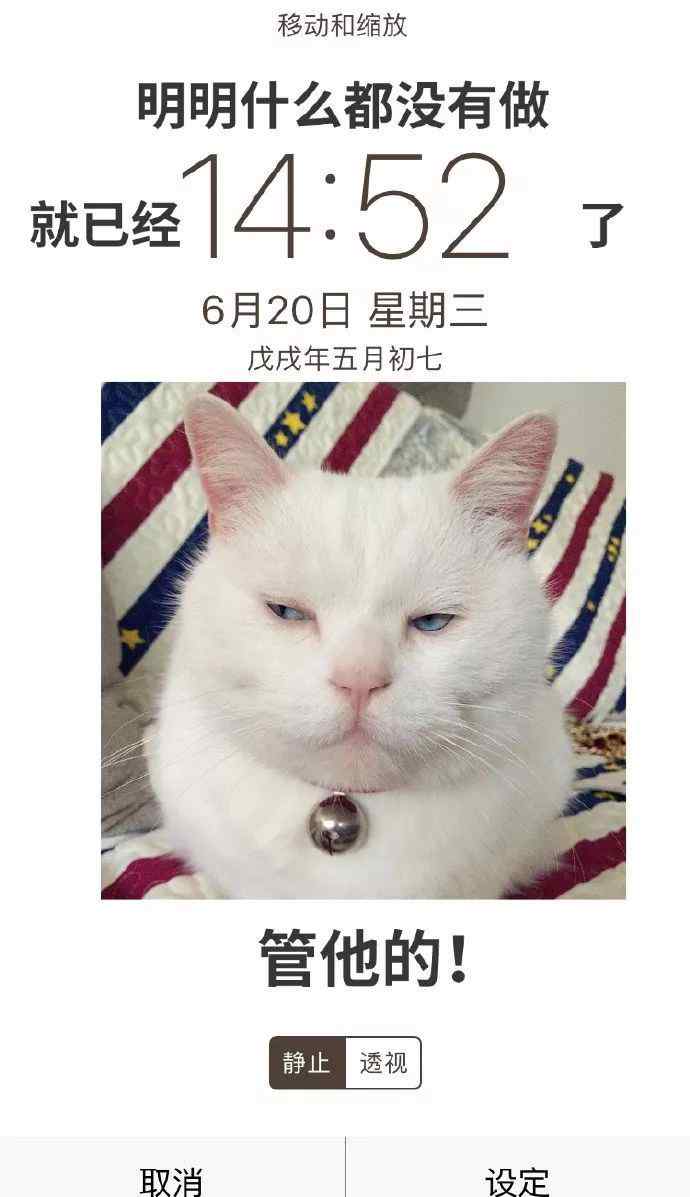 金鱼屏保 网友制作的猫咪屏保太赞了，绝对适合我们啊！