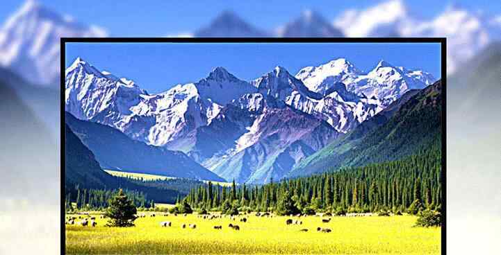 什么平板电视好 液晶电视对比：QLED电视和OLED电视哪个好？