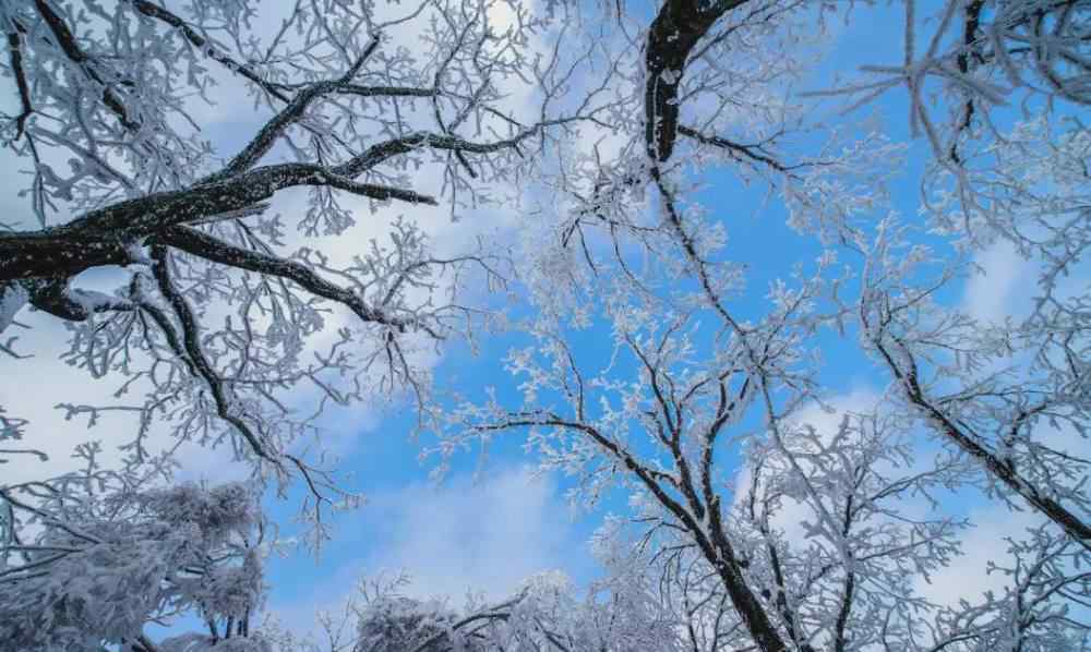 河南多景区飘起鹅毛大雪 具体是什么情况？