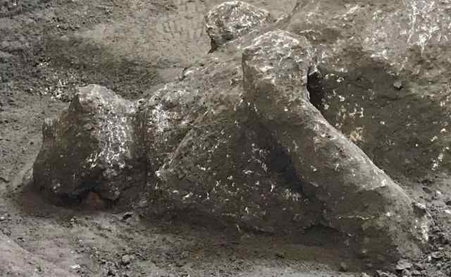 2000年前死于火山喷发遗骸被发现 遗骸可以保存多久