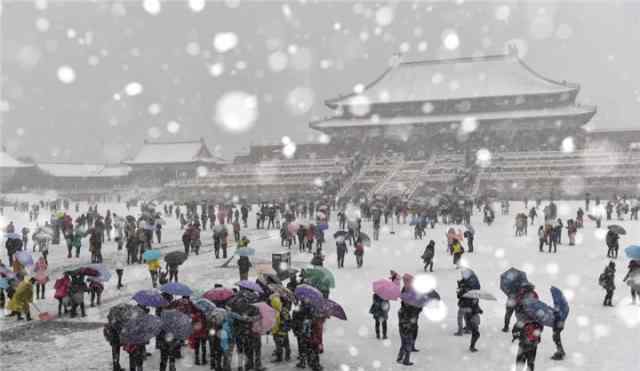 今日小雪 飞雪如花落岁岁又年年