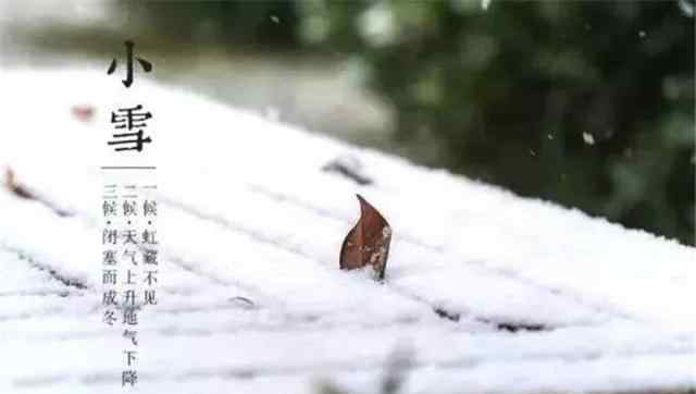 今日小雪 飞雪如花落岁岁又年年