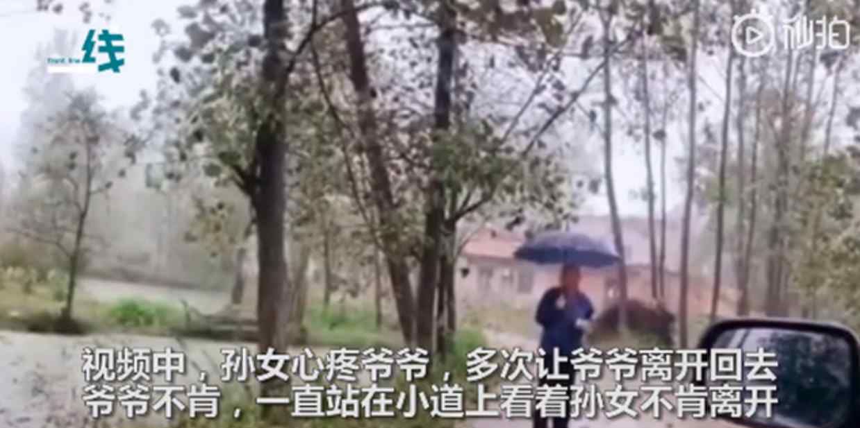 孙女返程爷爷雨中相送不肯离开 具体是什么情况？