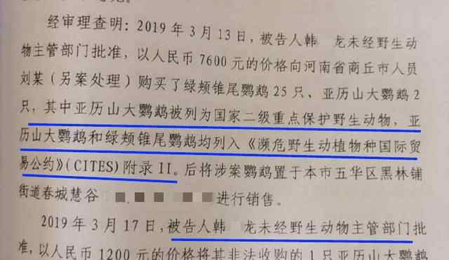 大学生售卖2只鹦鹉一审获刑6年 究竟发生了什么?