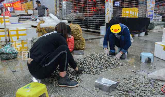 福州农贸市场 凌晨4点，我们杀去了福州最大的菜市场，竟然发现……