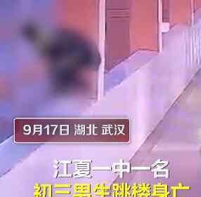 14岁男生被母亲扇打后跳楼坠亡 究竟是怎么一回事?