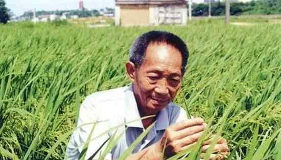 袁隆平豪宅曝光 把“豪宅别墅”当成“田间地头”