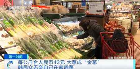 韩国大葱涨至43元一公斤 民众吃不起自己在家种 具体是啥情况?