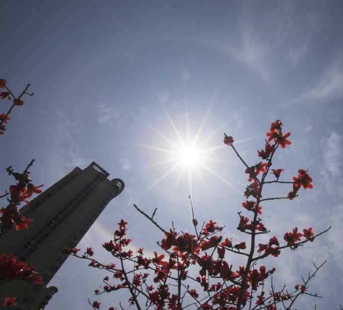 全国多地出现日晕 登上网络热搜了！